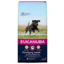 Eukanuba Junior Large 15kg