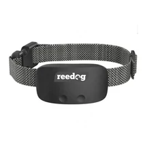 Reedog No Bark Premium – Ugatásgátló nyakörv kutyáknak