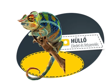 Hüllő
