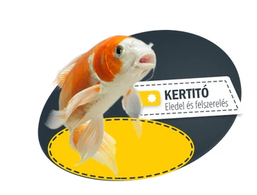 Kerti tó
