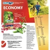 Kép 2/2 - Natural Economy Adult with Beef and Vegetables 12kg