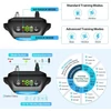 Kép 3/6 - Reedog Q20
