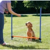 Kép 4/5 - Trixie Dog Activity játék Agility akadály 123x115 cm