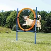 Kép 1/3 - Trixie Dog Activity játék Agility gyűrű