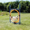 Kép 3/3 - Trixie Dog Activity játék Agility gyűrű