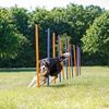 Kép 1/6 - Trixie Dog Activity játék Agility szlalom 12db 115 x 3cm