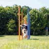 Kép 3/6 - Trixie Dog Activity játék Agility szlalom 12db 115 x 3cm