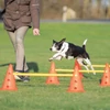 Kép 1/6 - Trixie Sporting Obstacle Set - agility akadály (ugró akadály) 23cm x 30/78cm