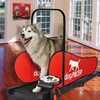Kép 5/5 - Futópad Dogpacer Lf 3.1. 80kg-Ig