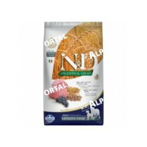N&D Dog Ancestral Grain bárány, tönköly, zab&áfonya adult medium&maxi 12kg