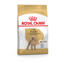 Royal Canin Poodle Adult 500g