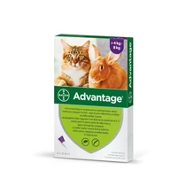 Advantage 80 macska/nyúl 0,8 ml 4 kg felett 4x