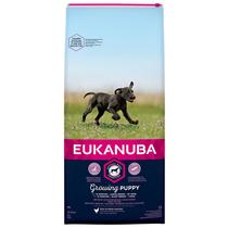 Eukanuba Puppy Large 15kg