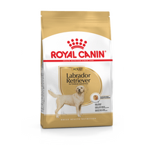 Royal Canin Labrador Retriever adult 12kg