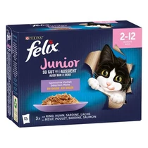 Felix Fantastic Multipack Junior Vegyes Válogatás Aszpikban 12x85g