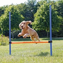 Trixie Dog Activity játék Agility akadály 123x115 cm