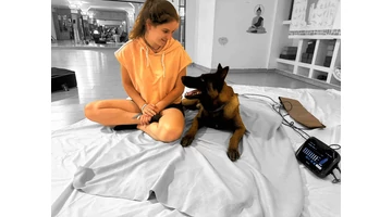 Több, mint sport – hogyan segít a BEMER a kutyádnak bármely életszakaszban?