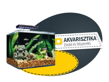 Akvarisztika