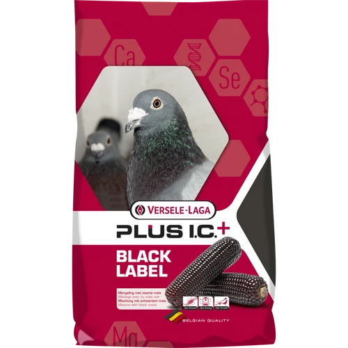Black label Champion Plus I.C galamb takarmány 20 kg