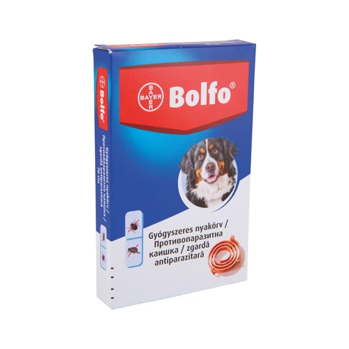 Bolfo nyakörv nagytestű kutyák részére 70cm