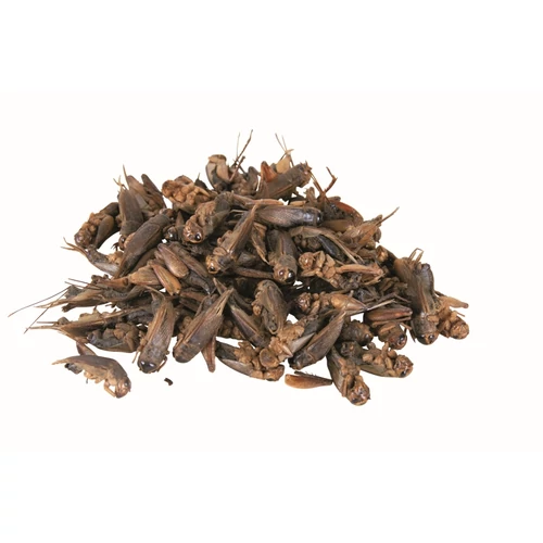 Száritott Tücsök 205ml/25g