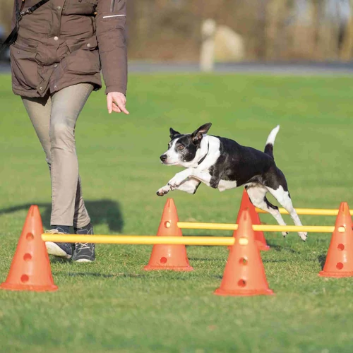 Trixie Sporting Obstacle Set - agility akadály (ugró akadály) 23cm x 30/78cm