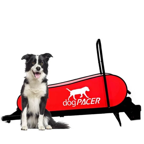 Futópad Dogpacer Lf 3.1. 80kg-Ig